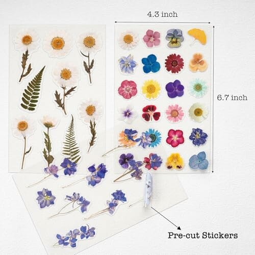 Assorted flower sticker sheets with pre-cut designs.